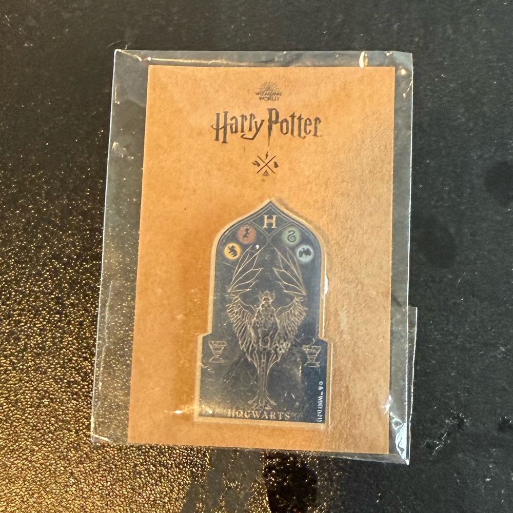 Harry Potter pin